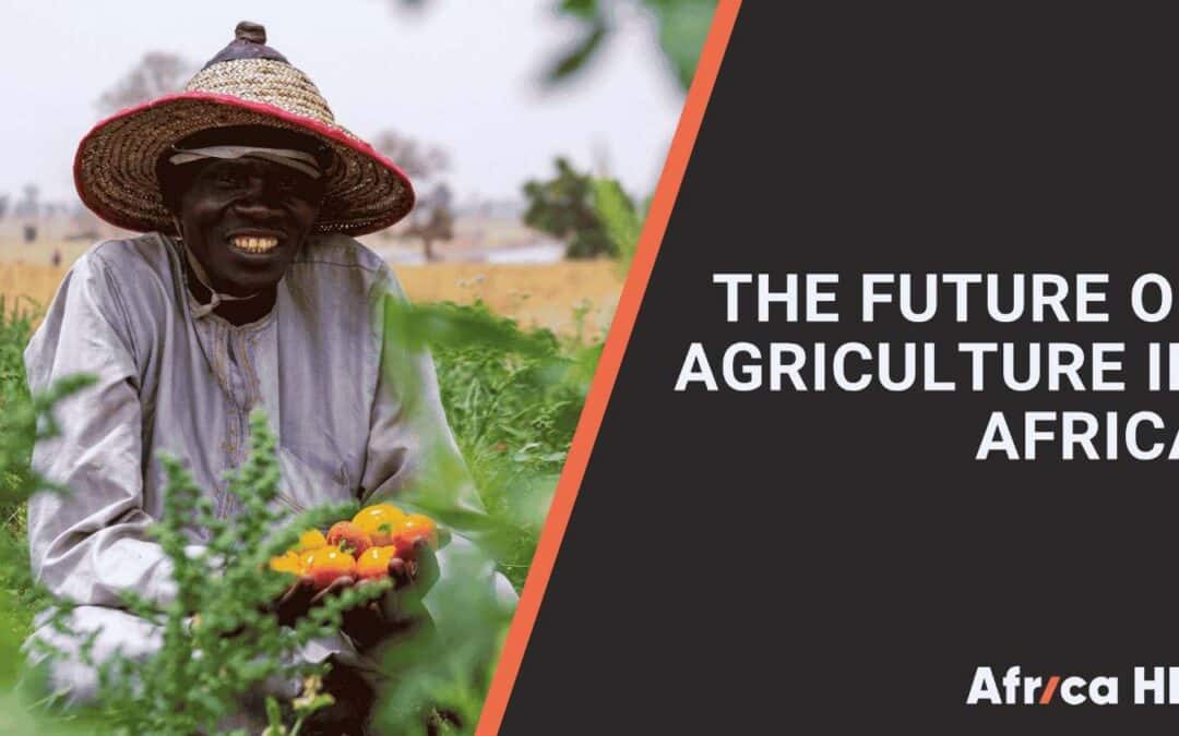Agricultural Transformation in Africa: Creating Jobs, Strengthening Food Security and Supporting Inclusive Growth