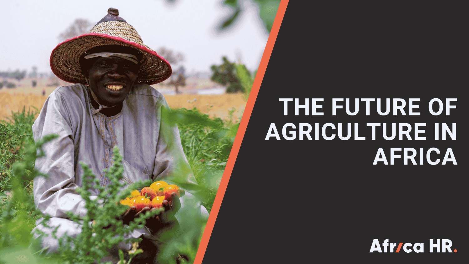 Blog visual for The future of agriculture in Africa