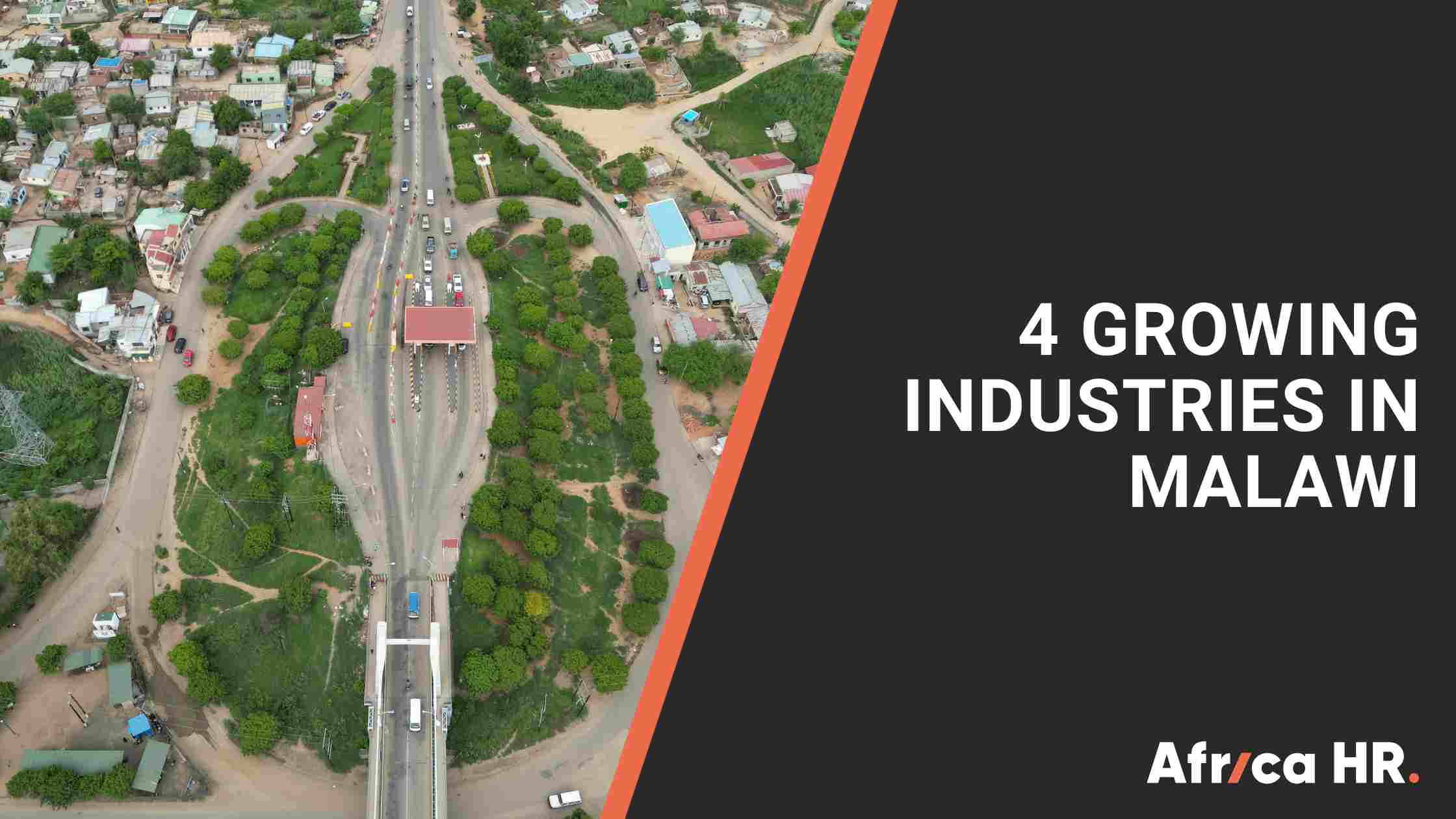 Growing industries in Malawi