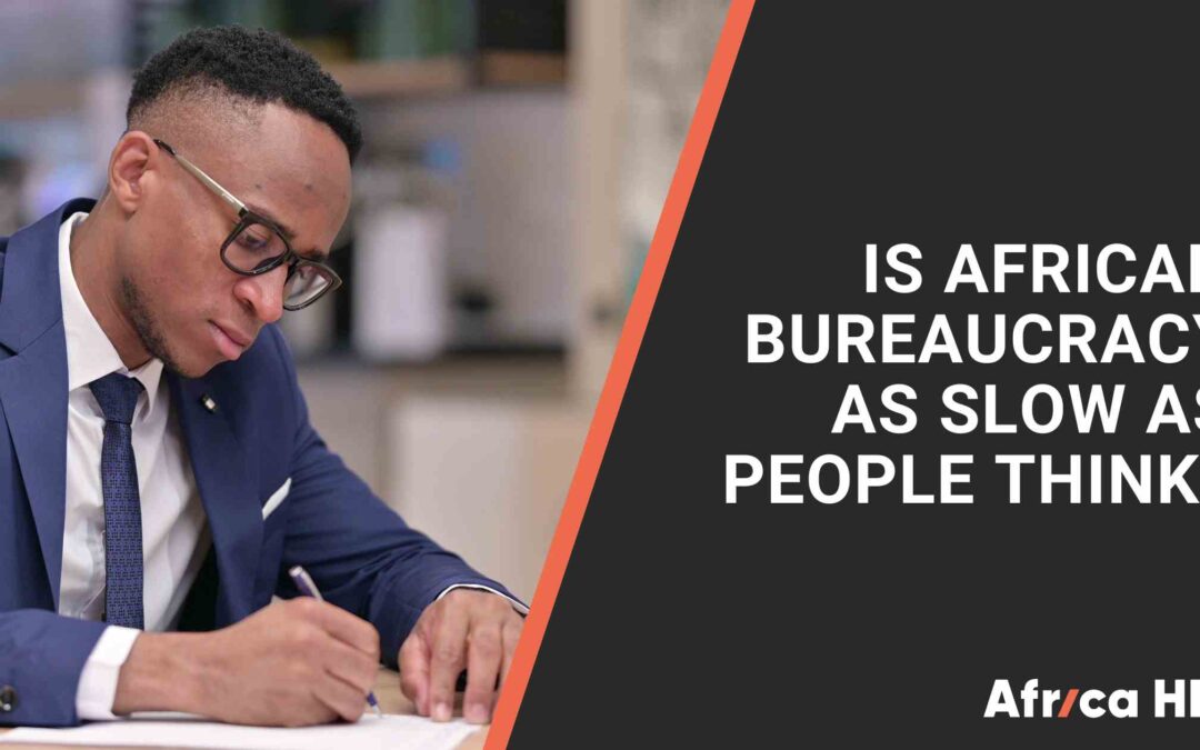 Is African bureaucracy really as slow as people think?
