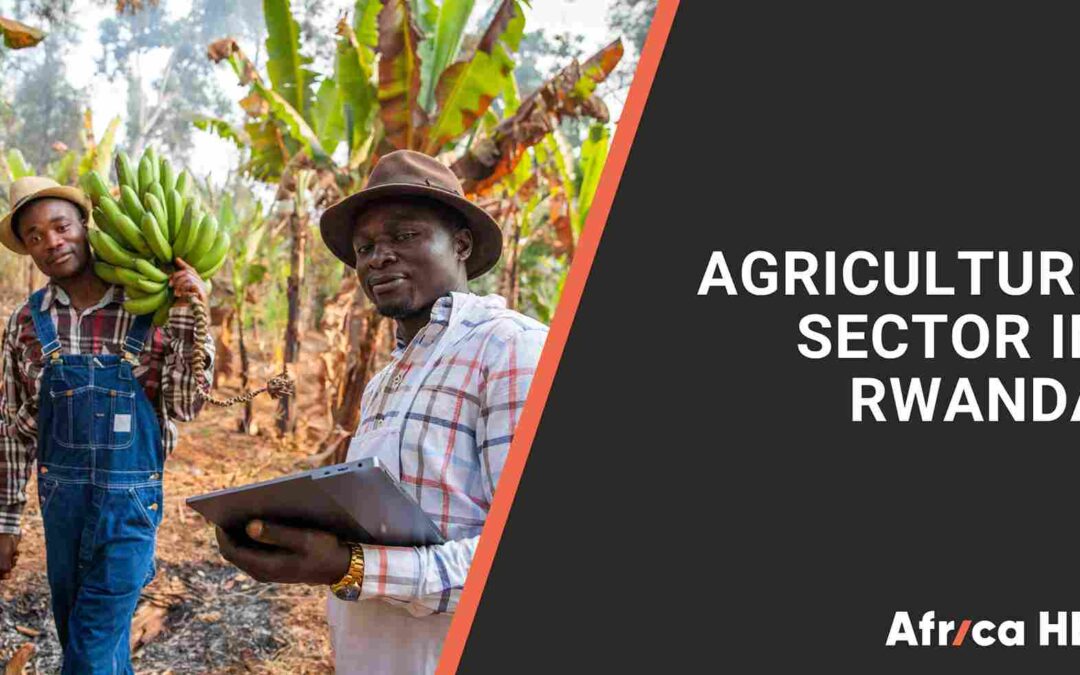 Expanding Into Rwanda’s Agriculture Sector: Incentives, Employee Rights and What Comes Next