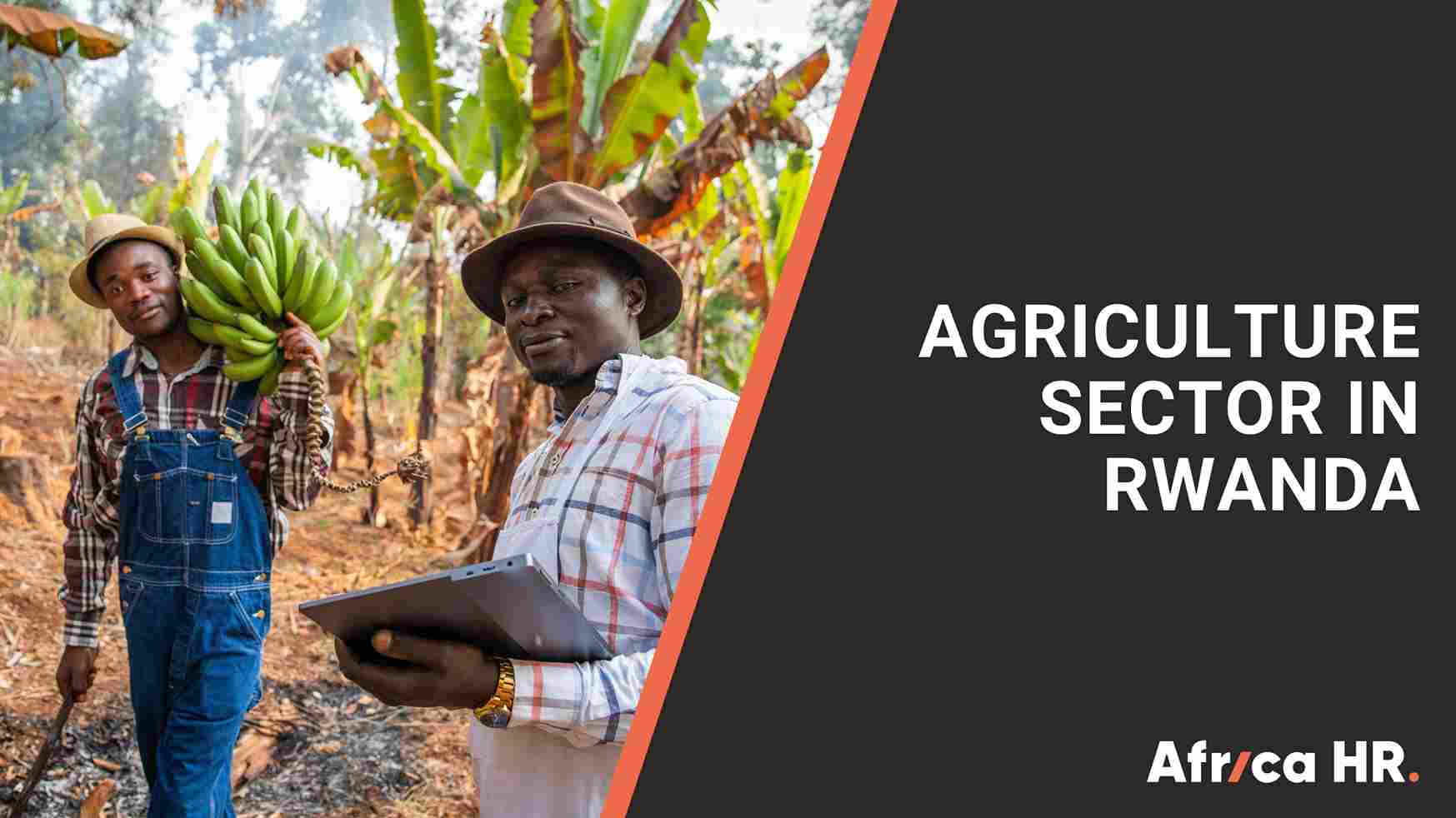 Blog visual for Agriculture in Rwanda