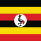 PEO and Payroll services in Uganda